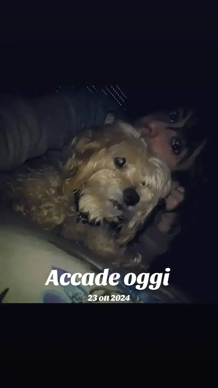 @NicaVero