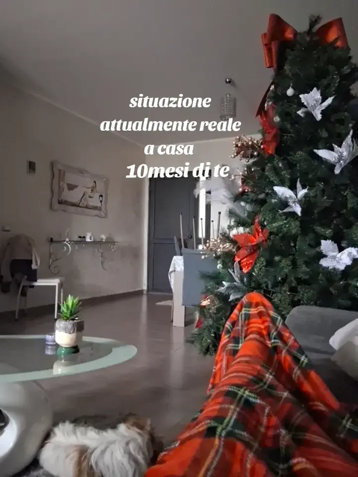 @stefy86