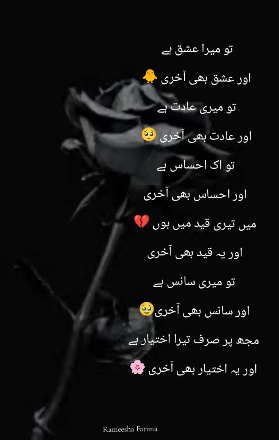 @Rameesha Fatima