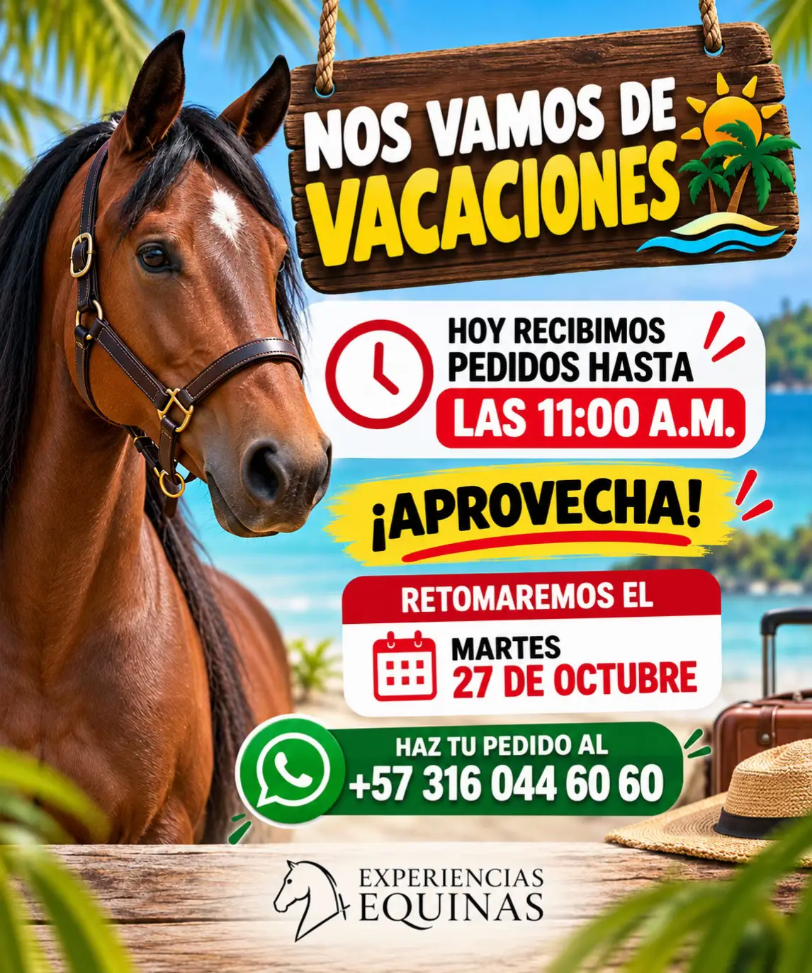@Experiencias Equinas