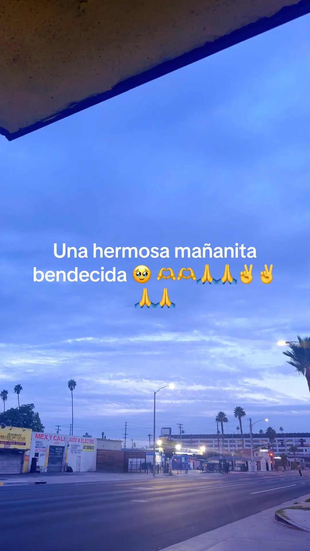 @blanca crispin perez