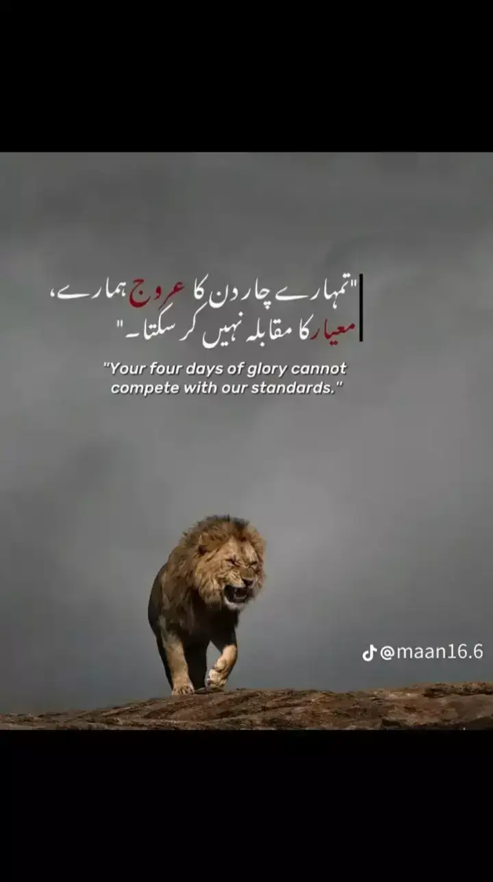 @💀مہر کہتے ہیں💀