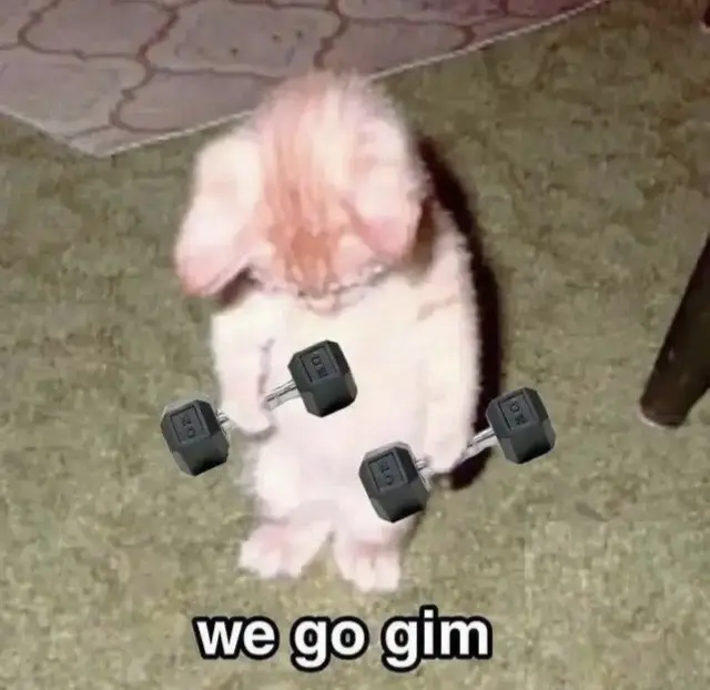 @gio