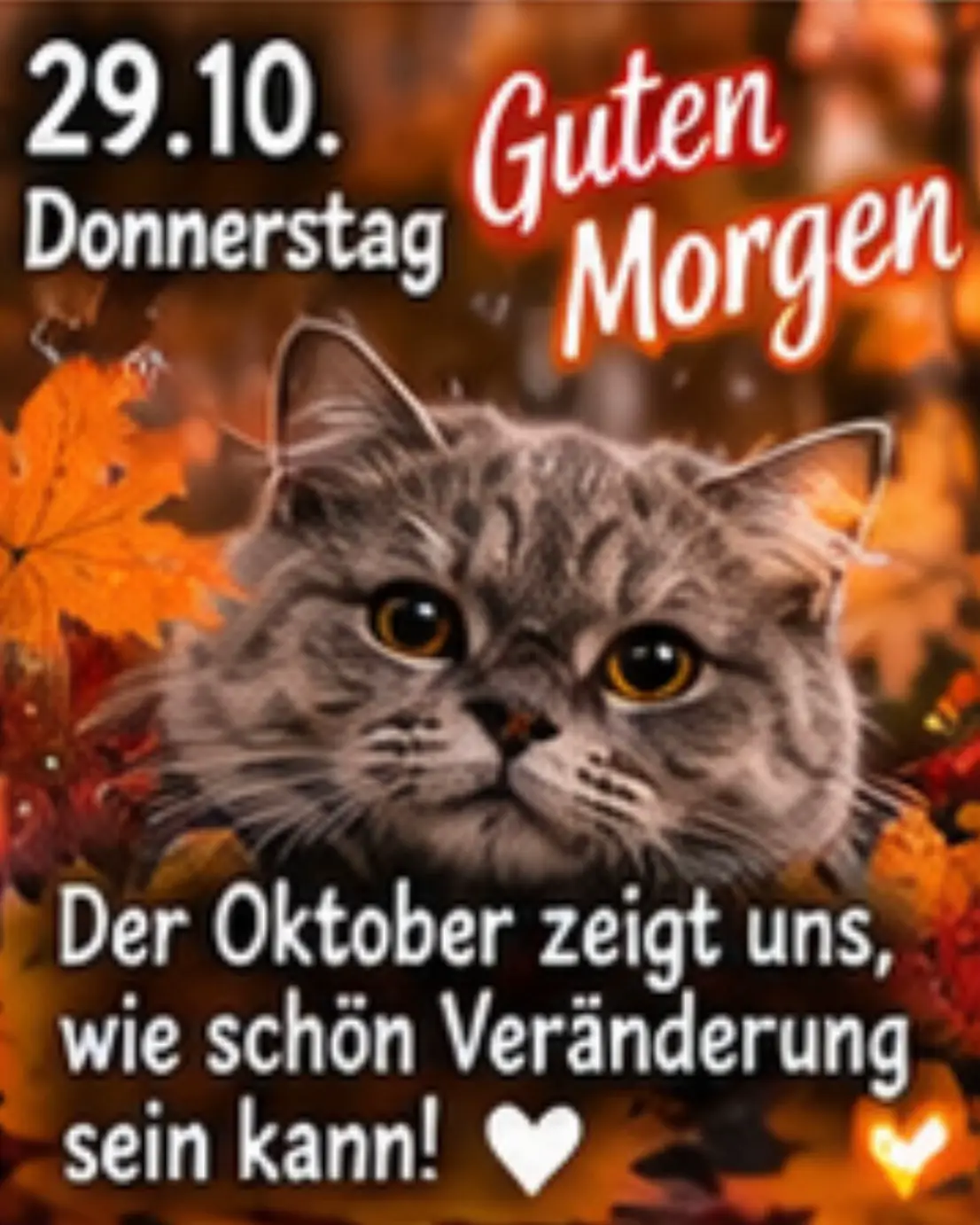 @Kirsten Ihde - Schnarr