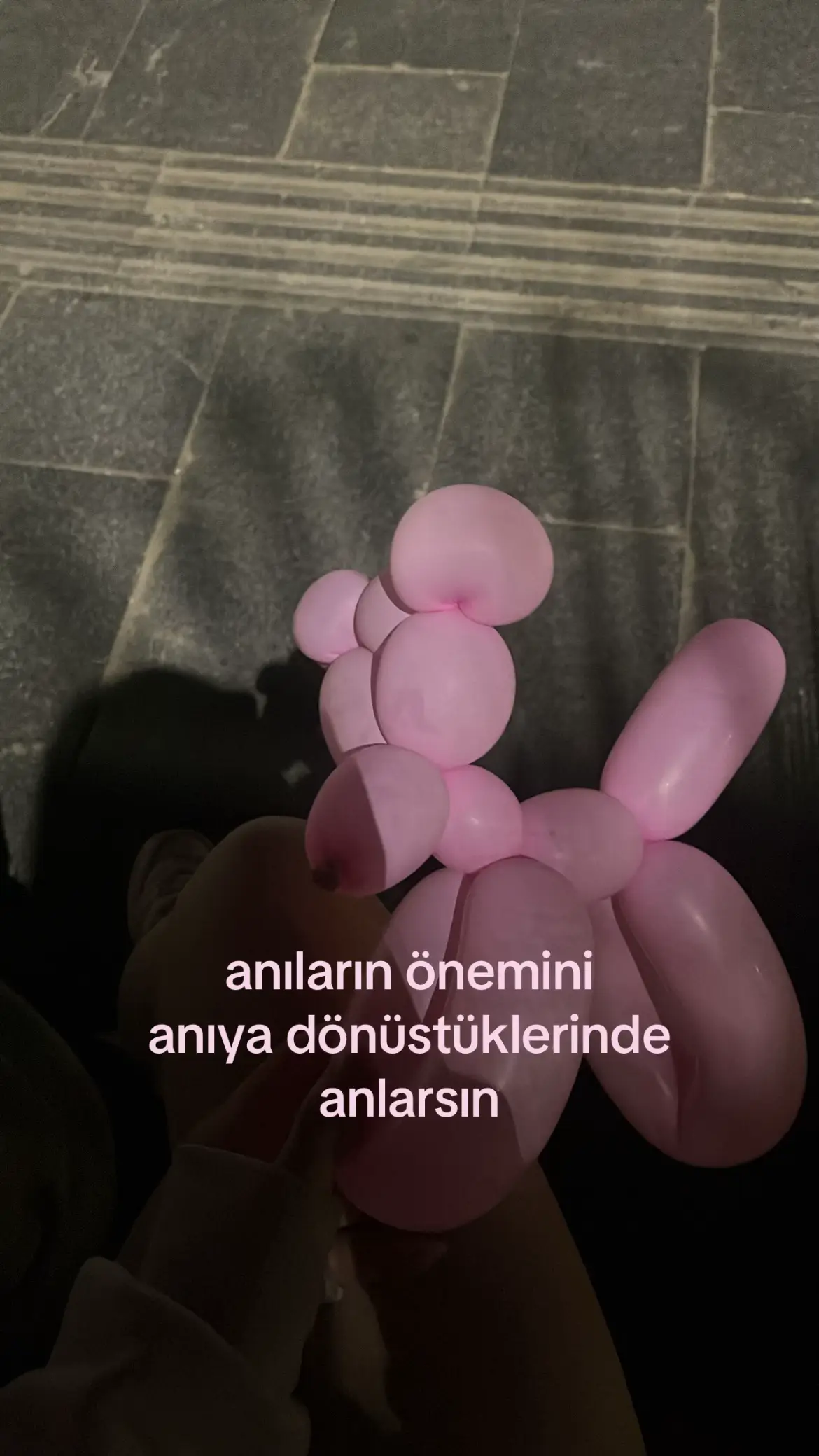 @Seraapp