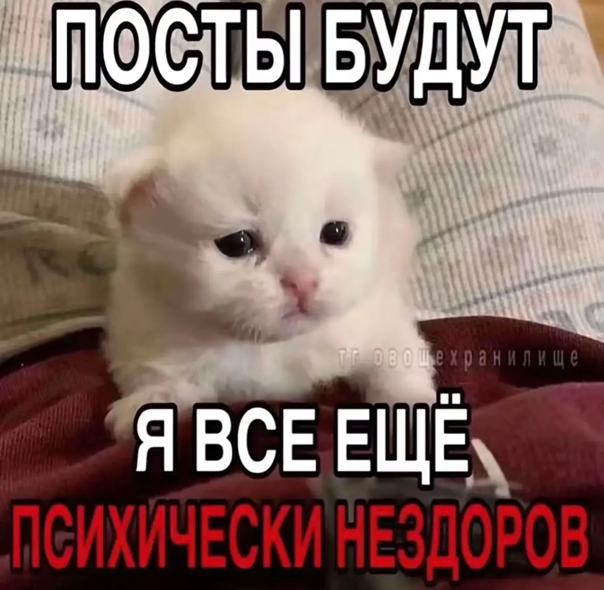 @Чуч | сгоревший