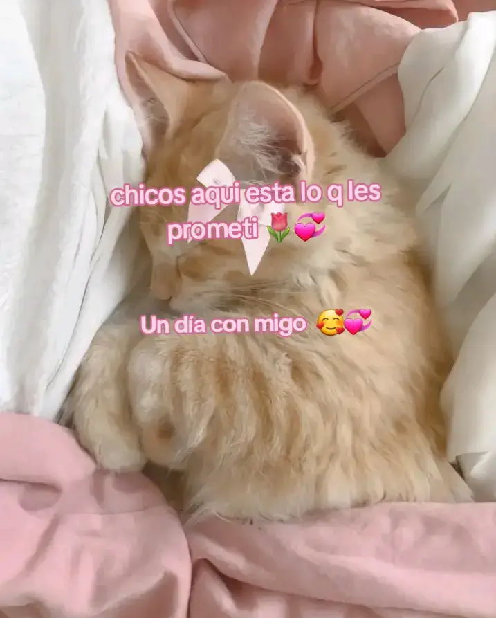 @user64399747610