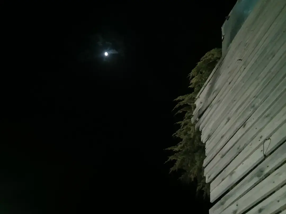 @نادية تـ🌙ـلَبـ🌙ـيـ🌙ـشـ🌙ـيـ