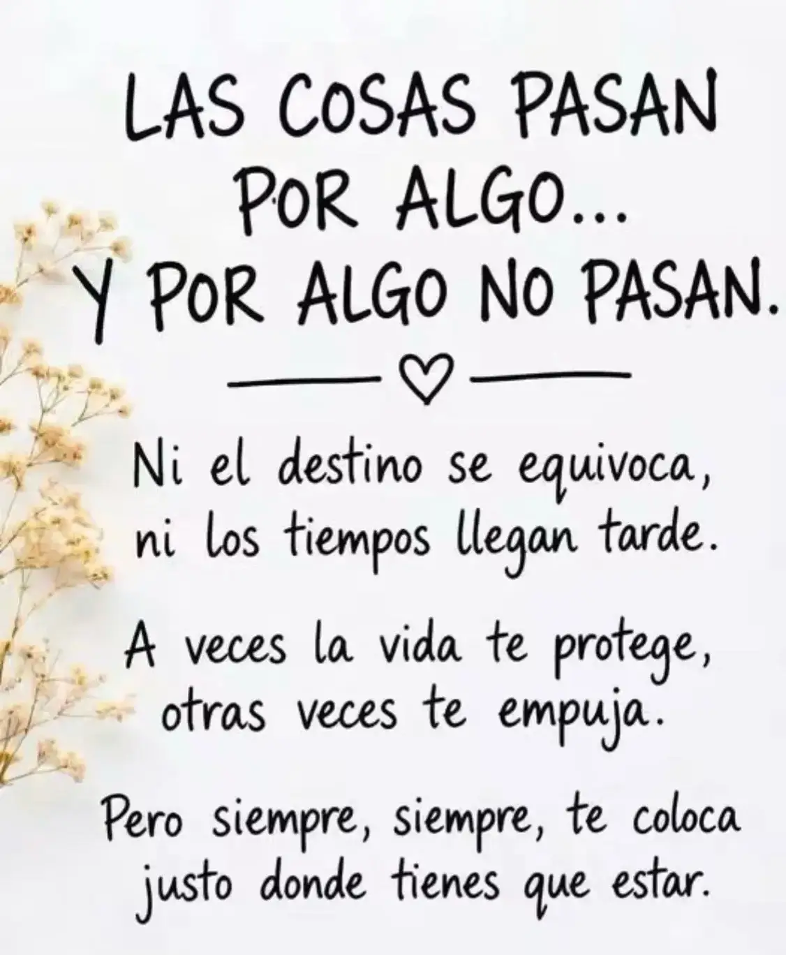 @Mainor Garcia