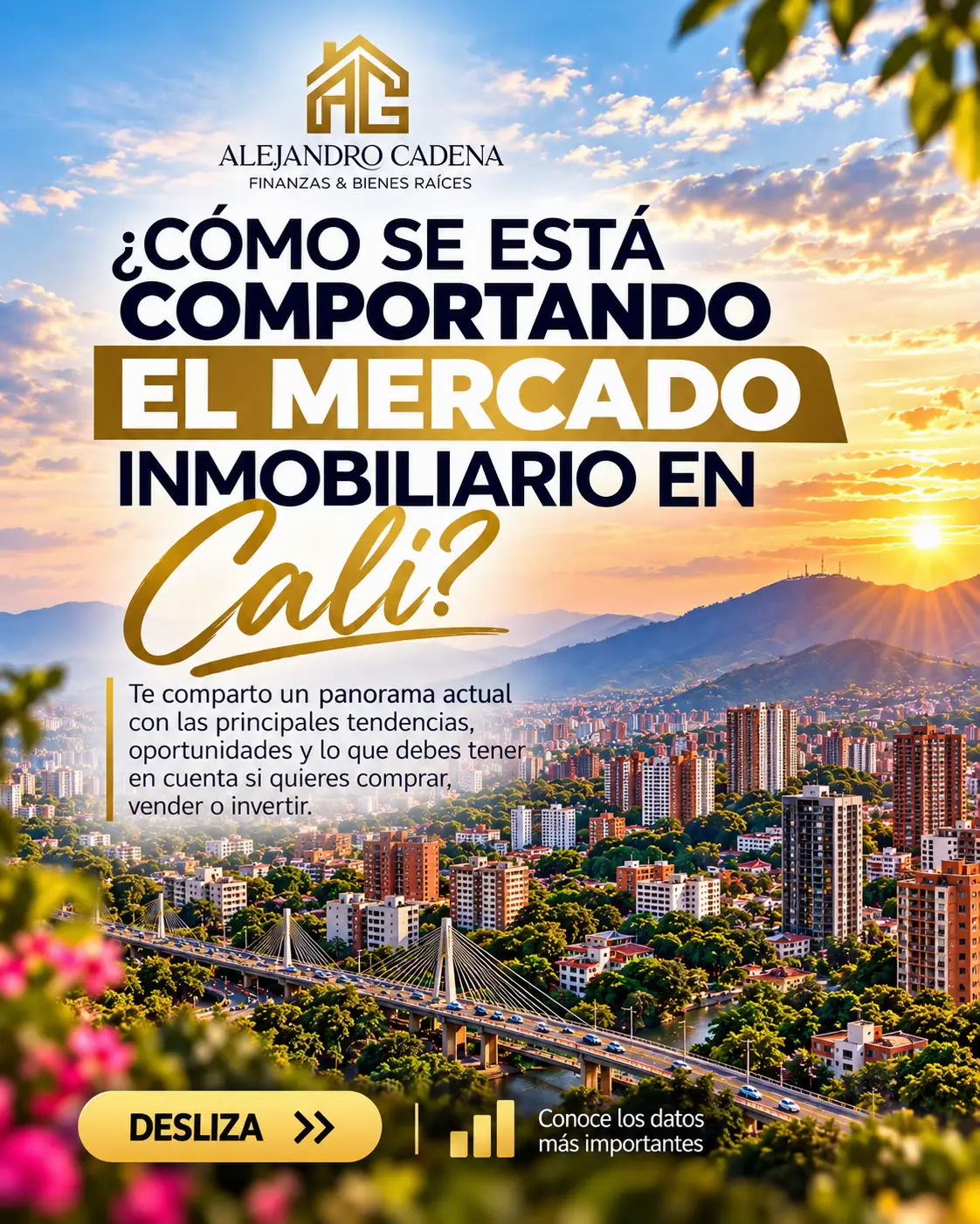 @Tu Inmueble Con AlejoCadena