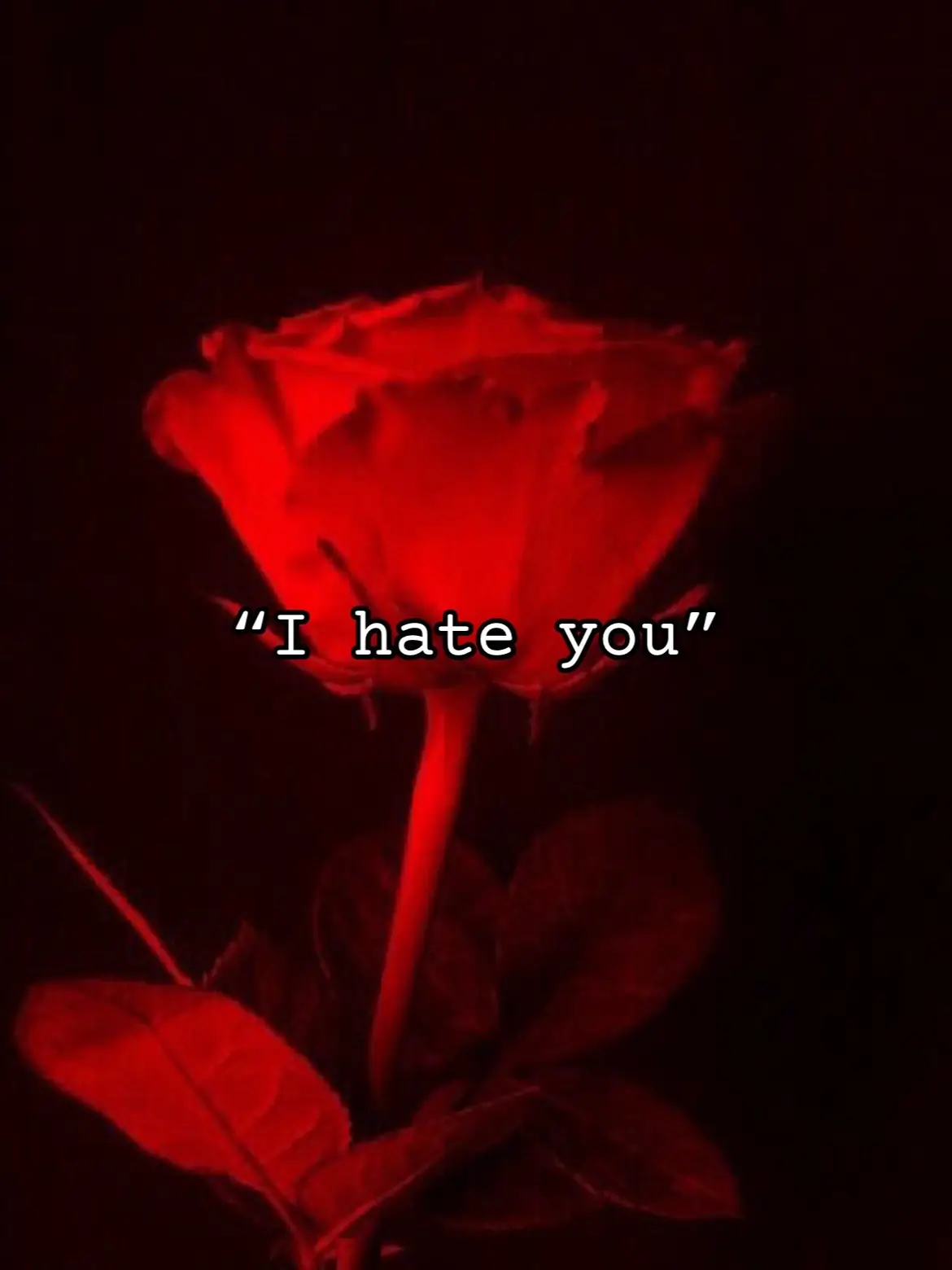 @𖤐𝑶𝒍𝒊𝒗𝒊𝒂𖤐