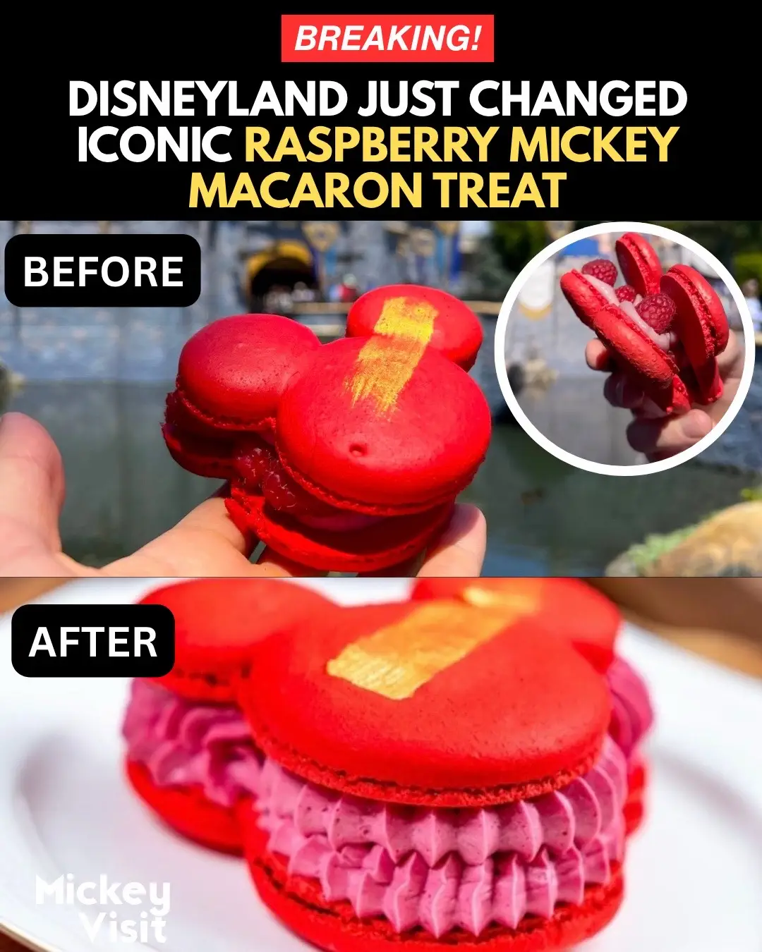 @Mickey Visit: Disney Guide!