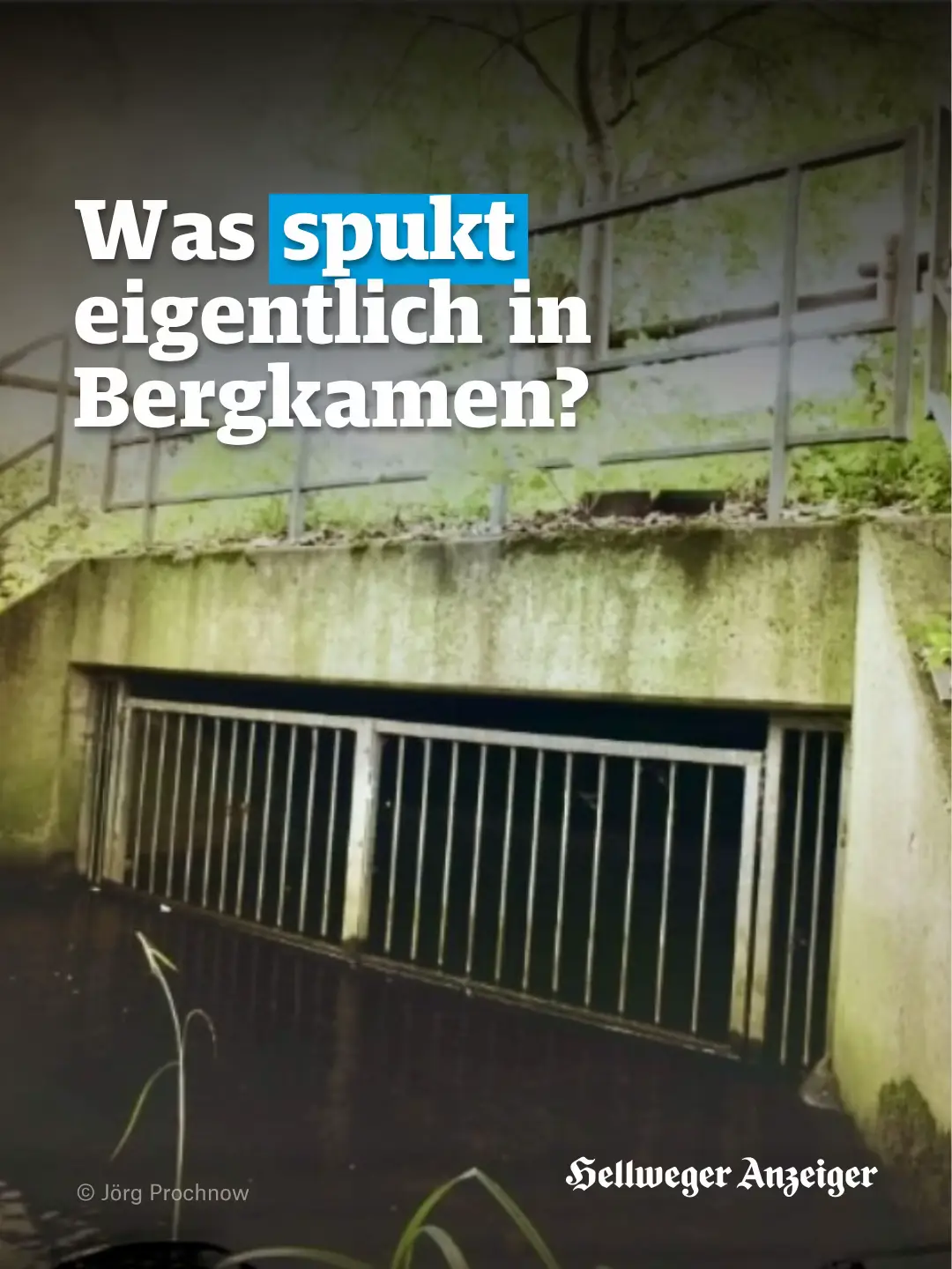 @Hellweger Anzeiger
