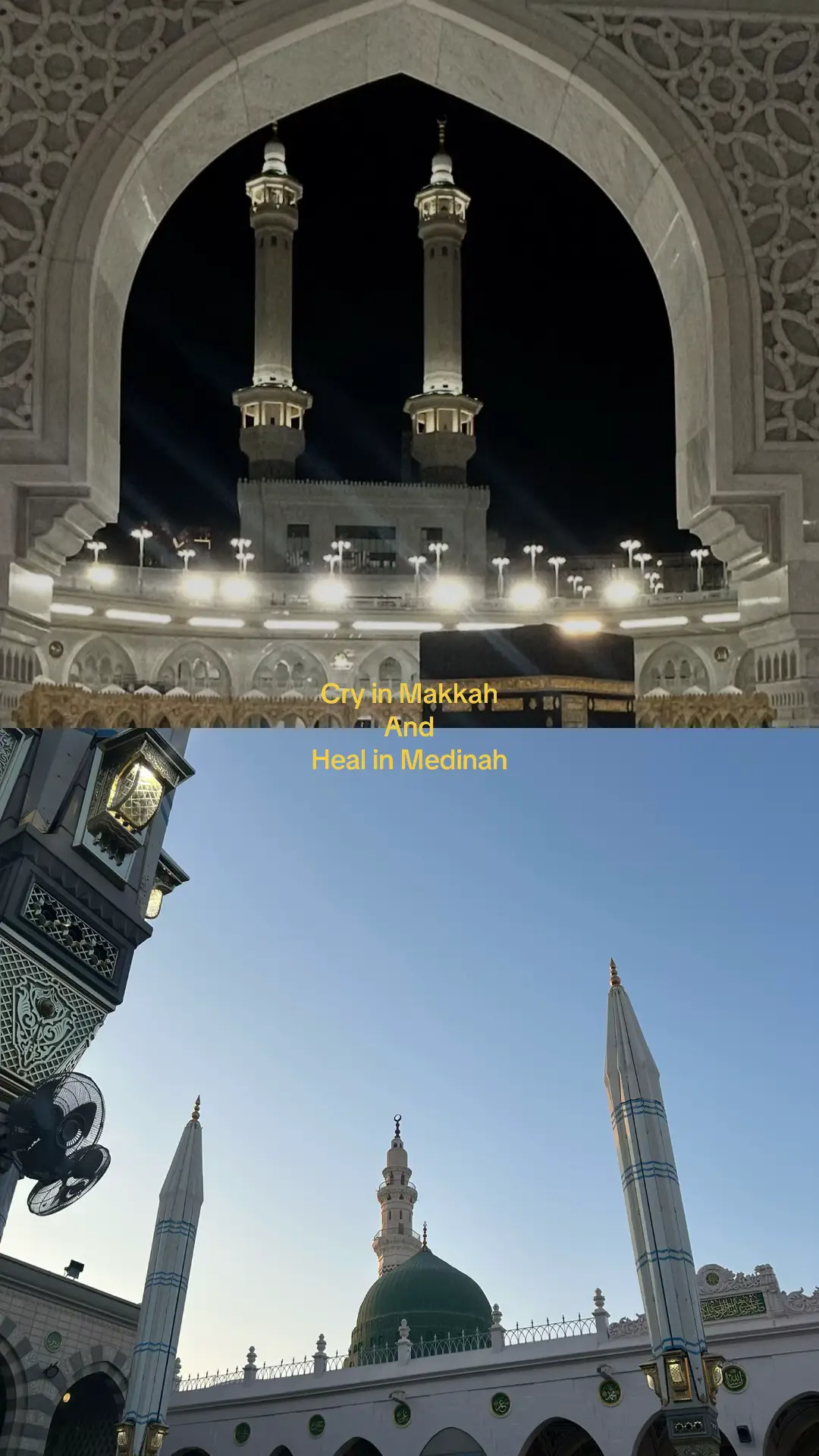 @travelwithme1231🫶🏼