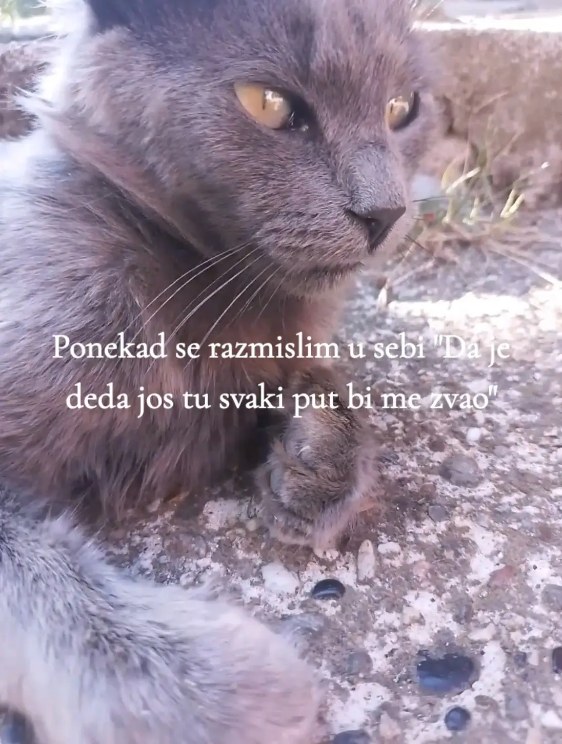 @Неда