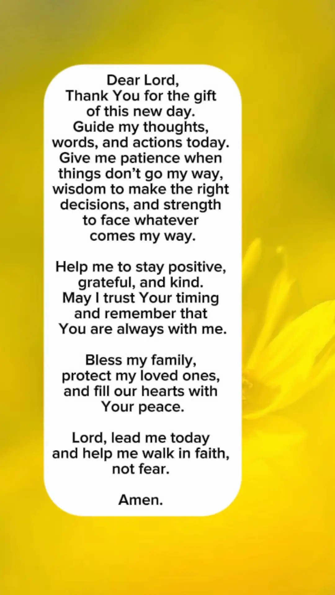 @💛JoyJoy💛