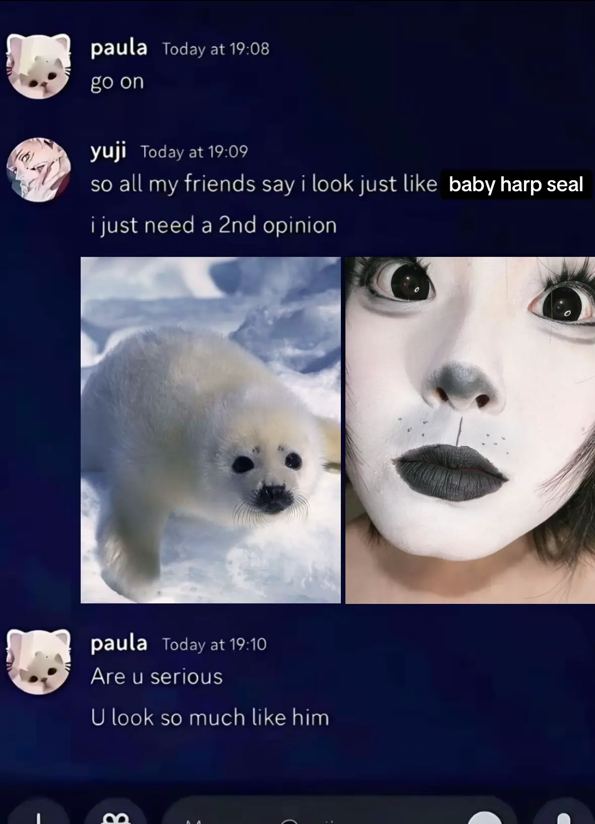 @mori ✧