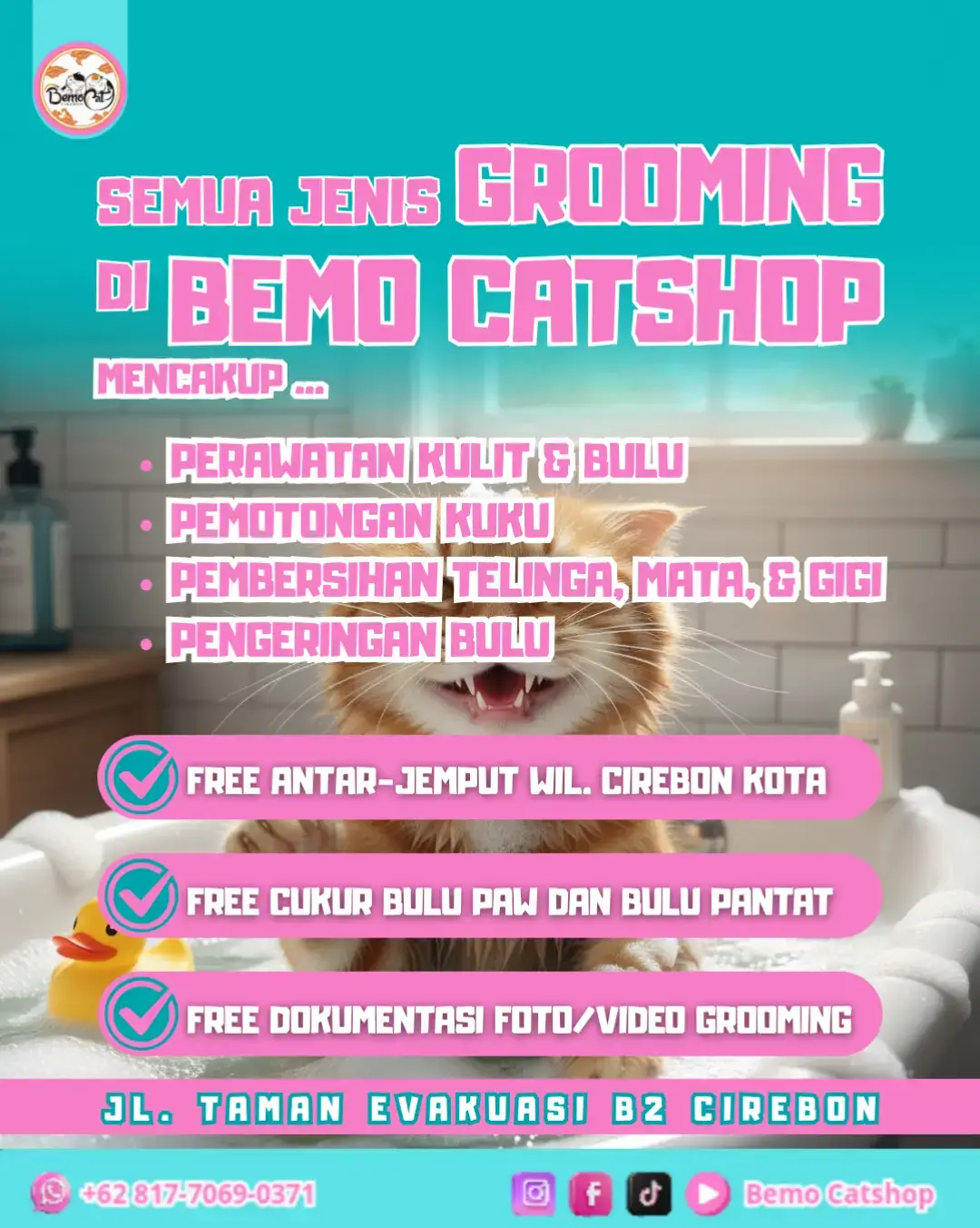 @Bemo Catshop