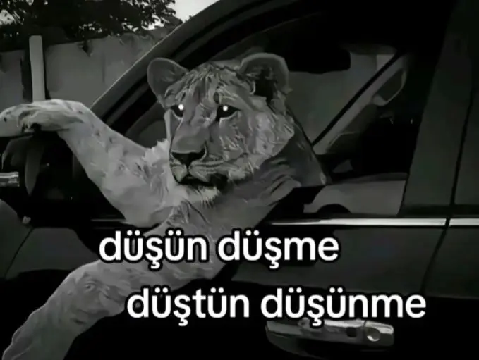 @HALİLECEVİT70
