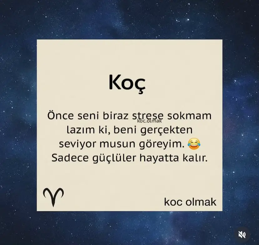 @kocburcu6