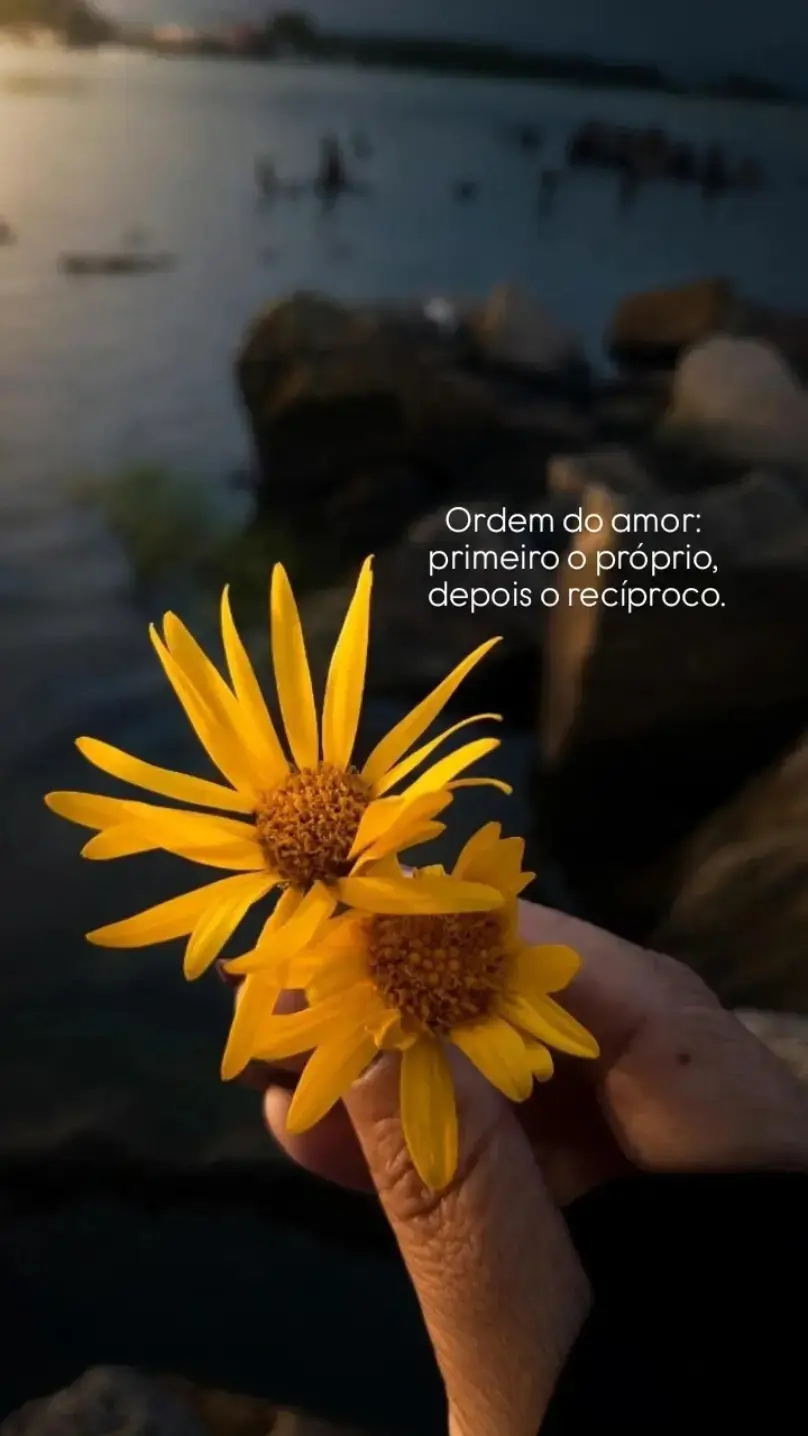@Giovana Duarte✨