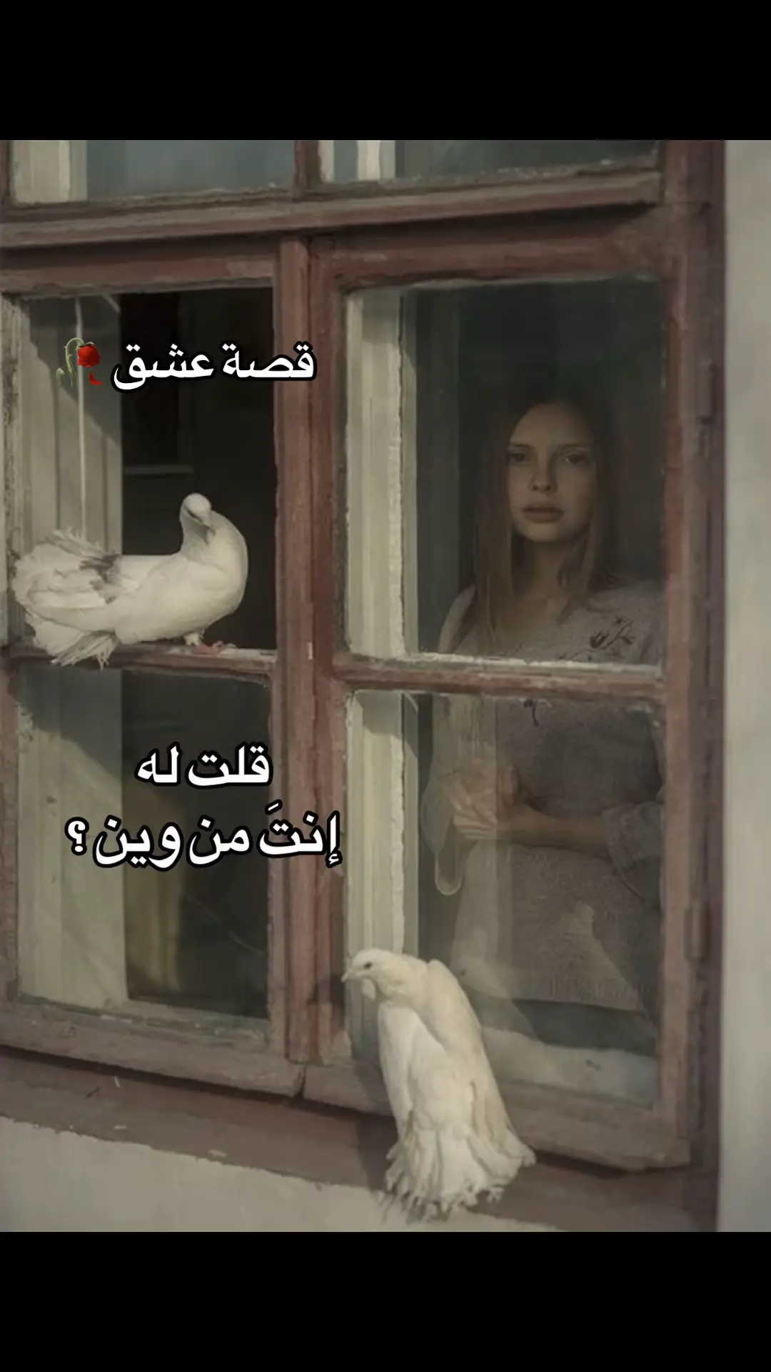 @قصة عشق 🥀