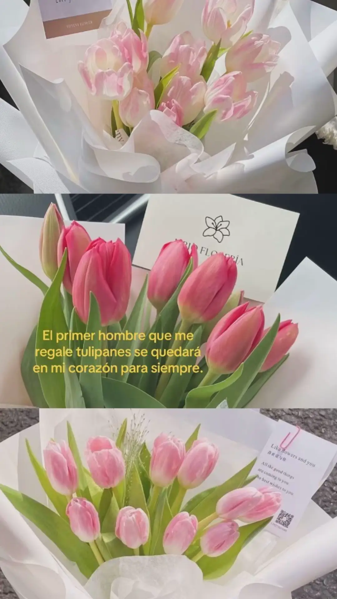 @⋆˚࿔ ᥫ᭡𝒜𝓃𝒶𝓎ℯ𝓁𝒾🌷𝜗𝜚˚⋆