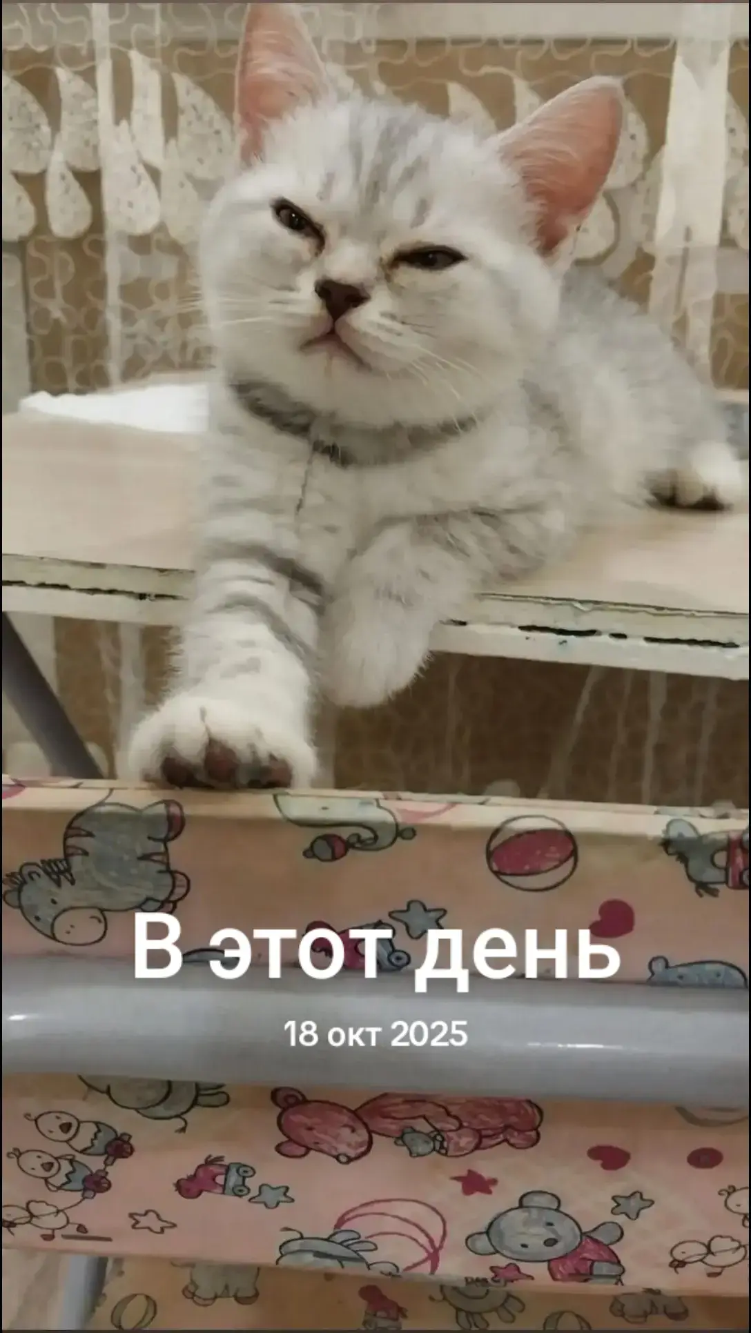 @mokkatwix