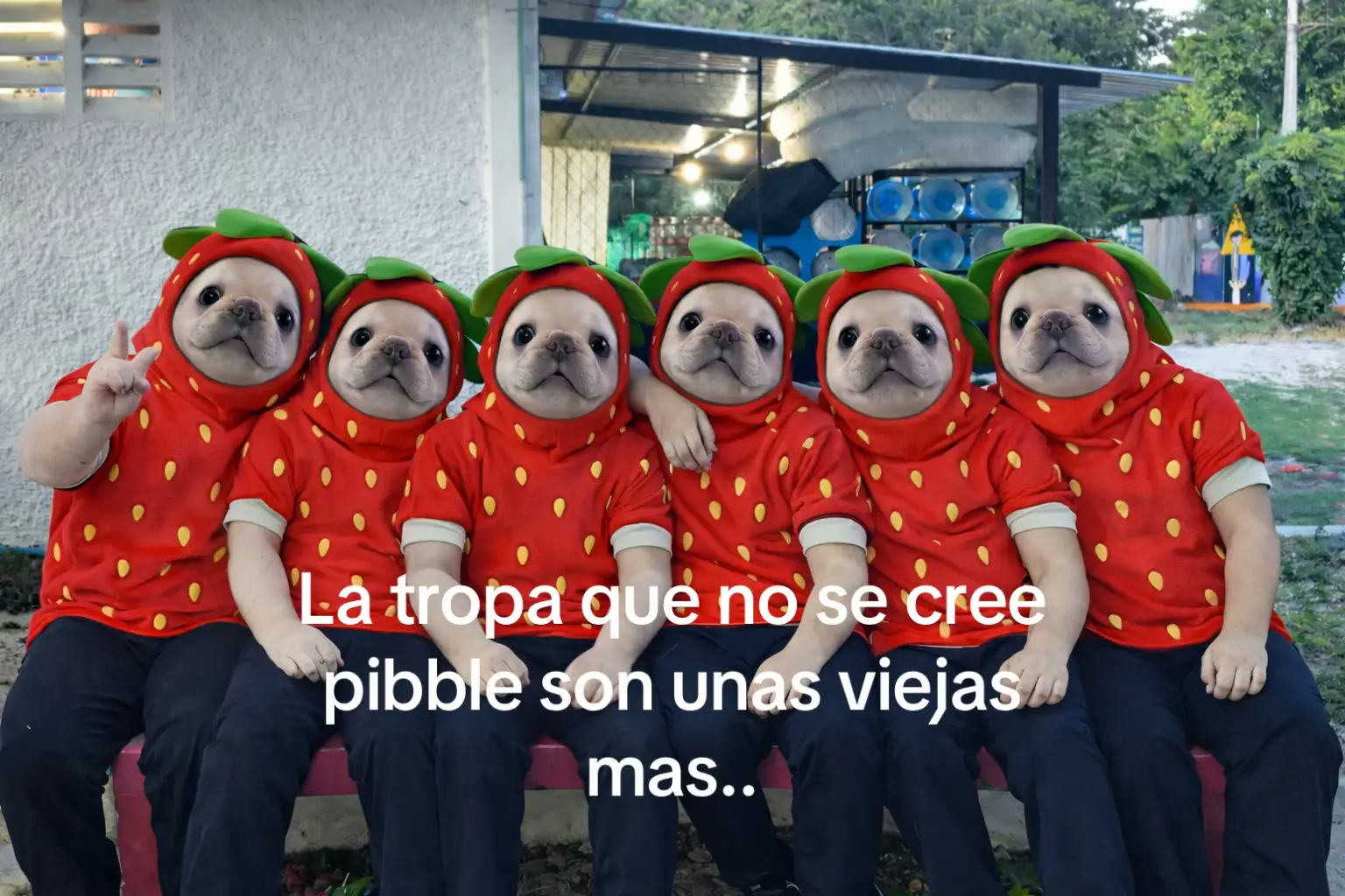@Mexatonotos