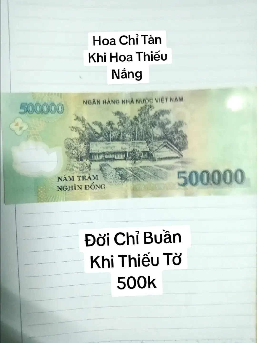@như ngọc 588