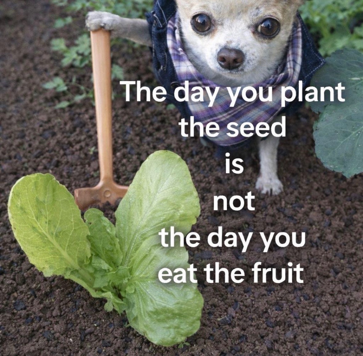 @M
