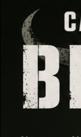@CallSign:Bison