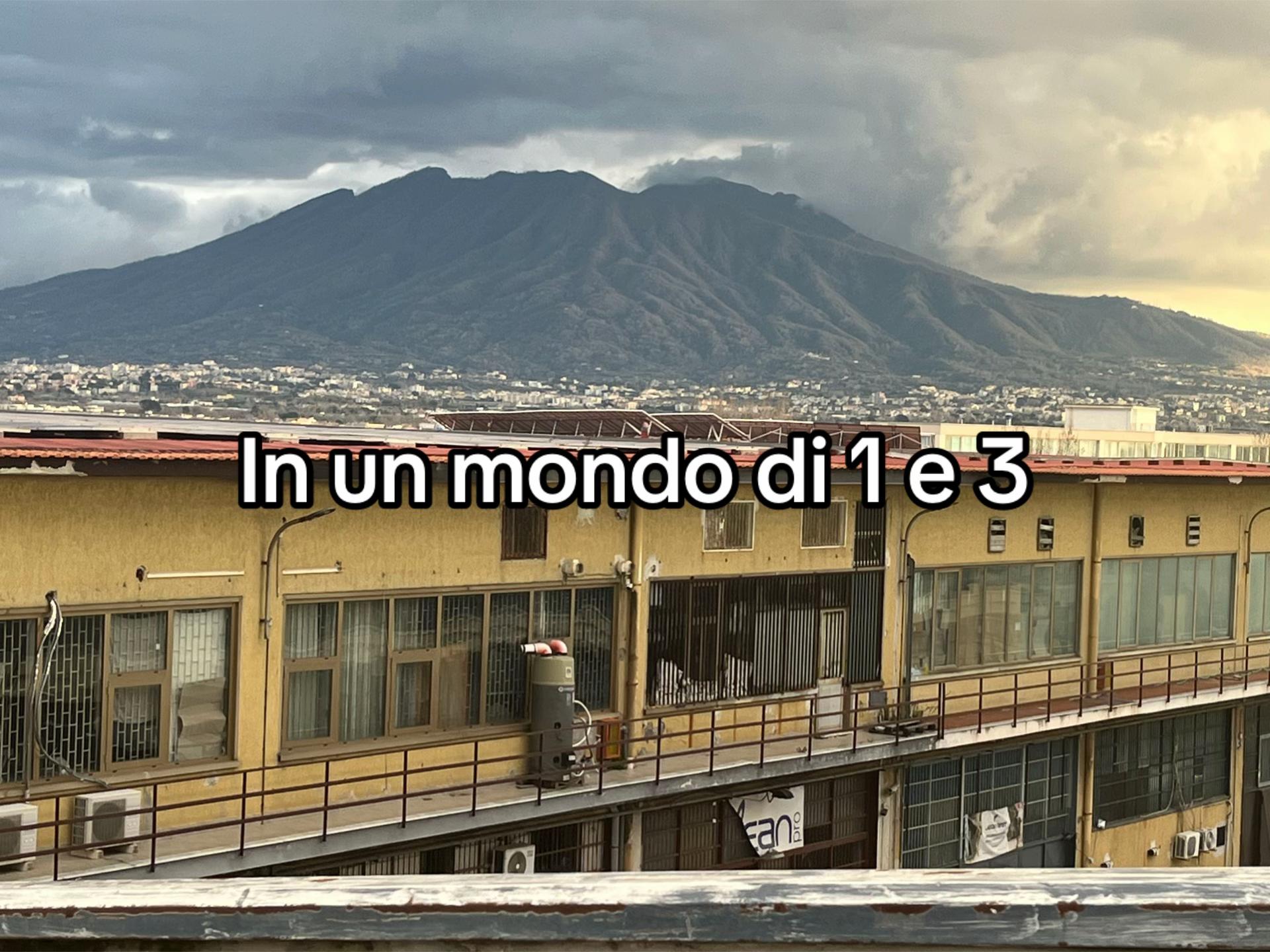 @dilorenzo223