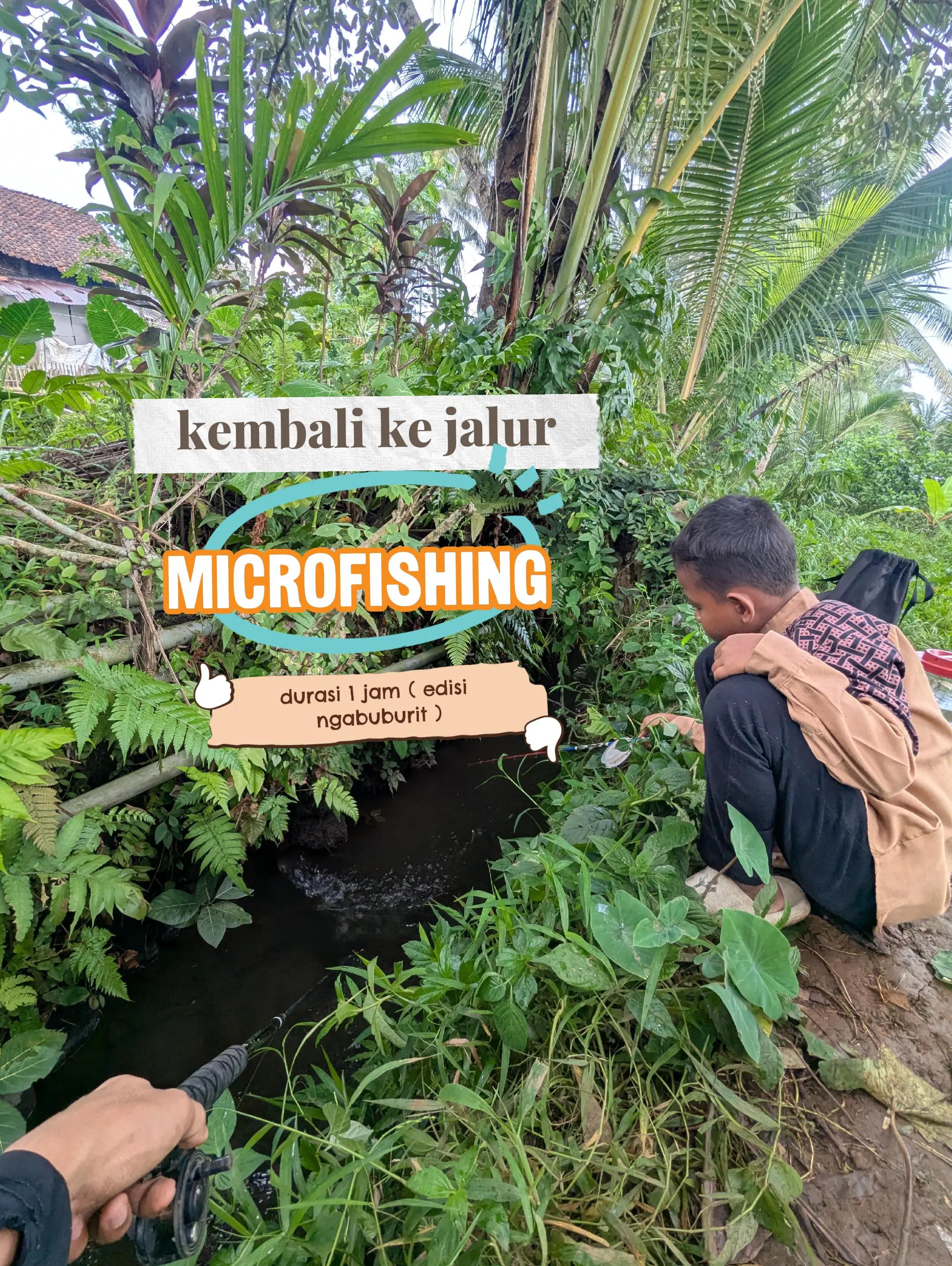 @Mancing Everyday
