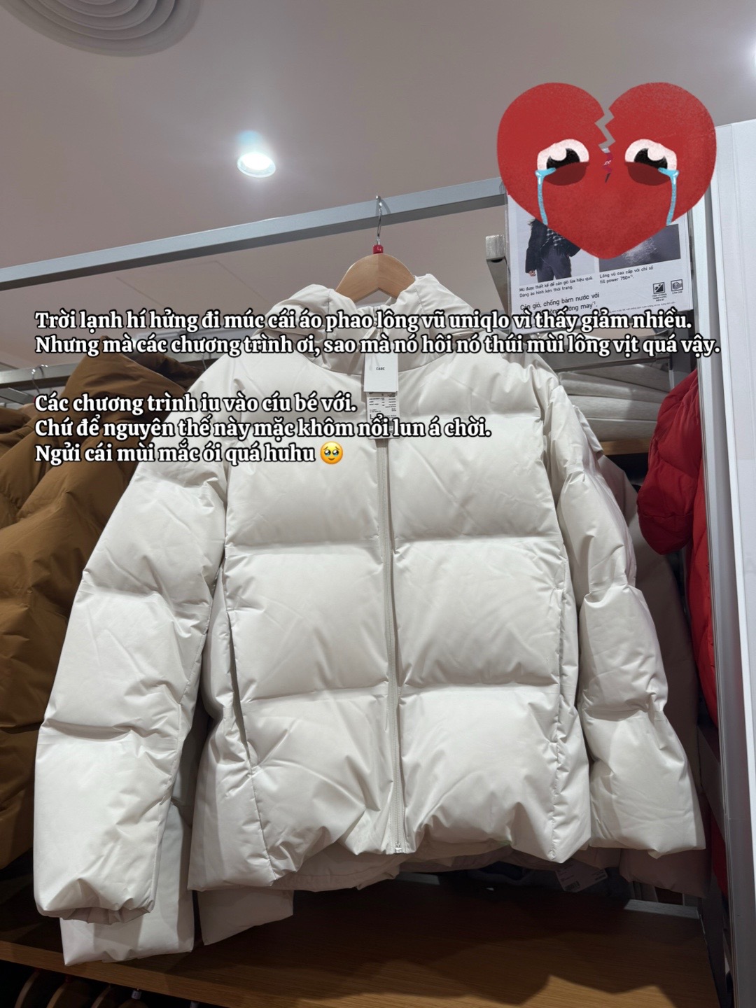 @Bạn đời của h&agrave;m duy tr&igrave;