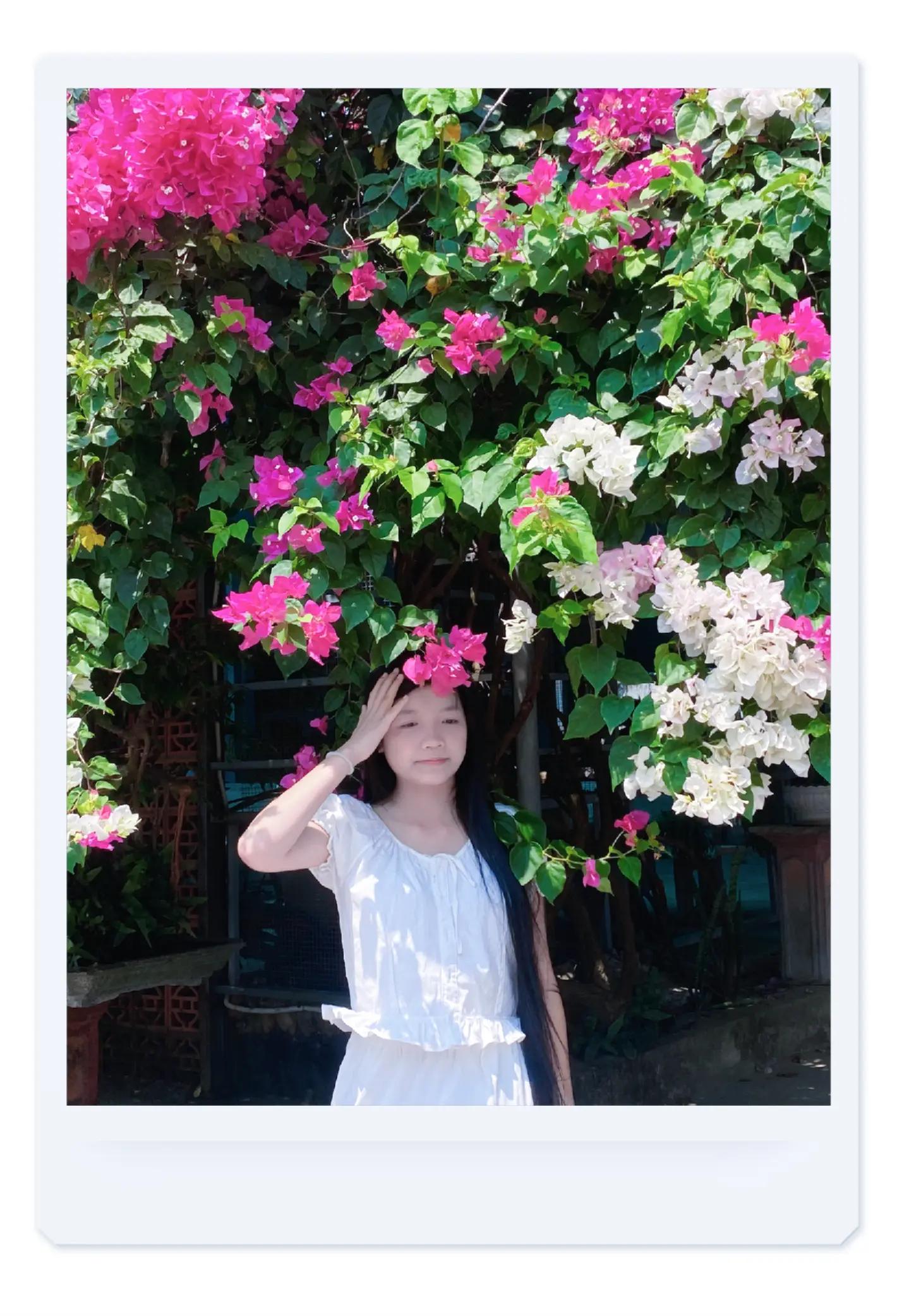 @ᏖᏂỏ