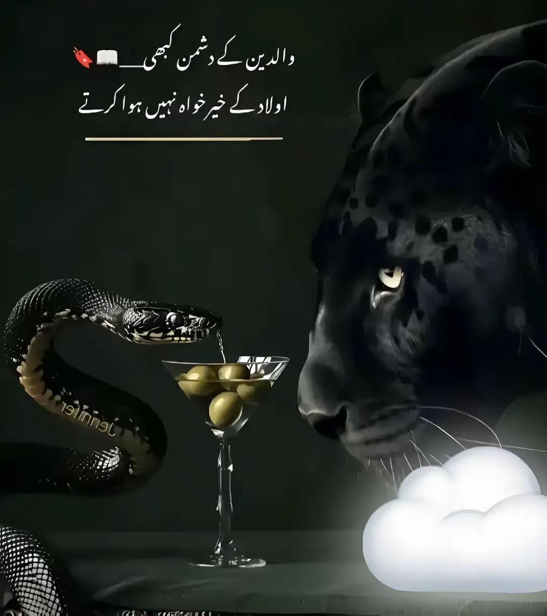 @Shahad Zafar