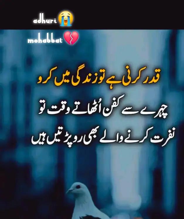 @AdHuRi MoHaBBaT
