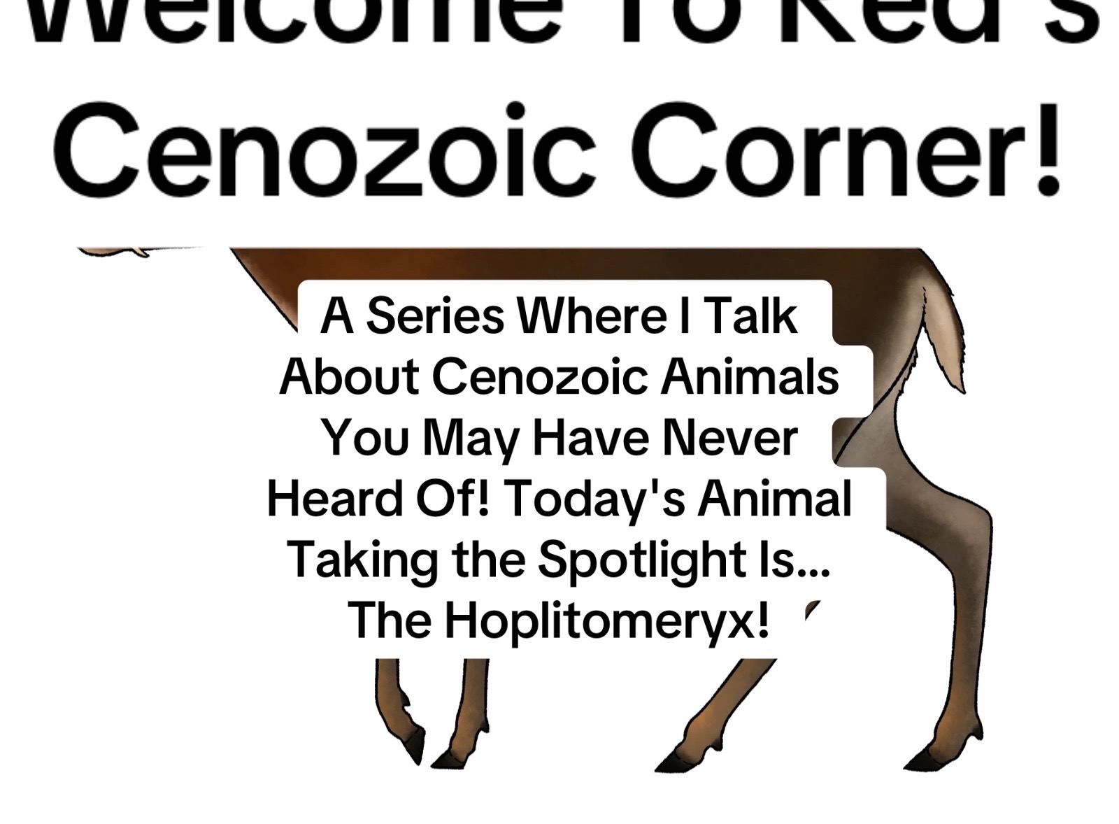 @RedTheKangaroo