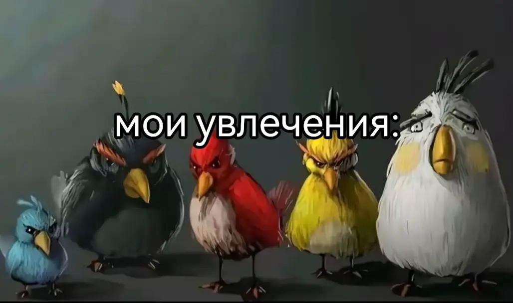 @ябасистка