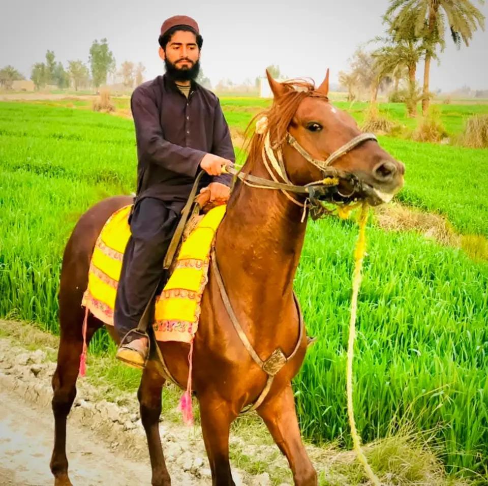 @معین