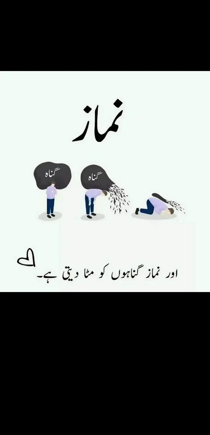 @ش ا ک ر 🫥