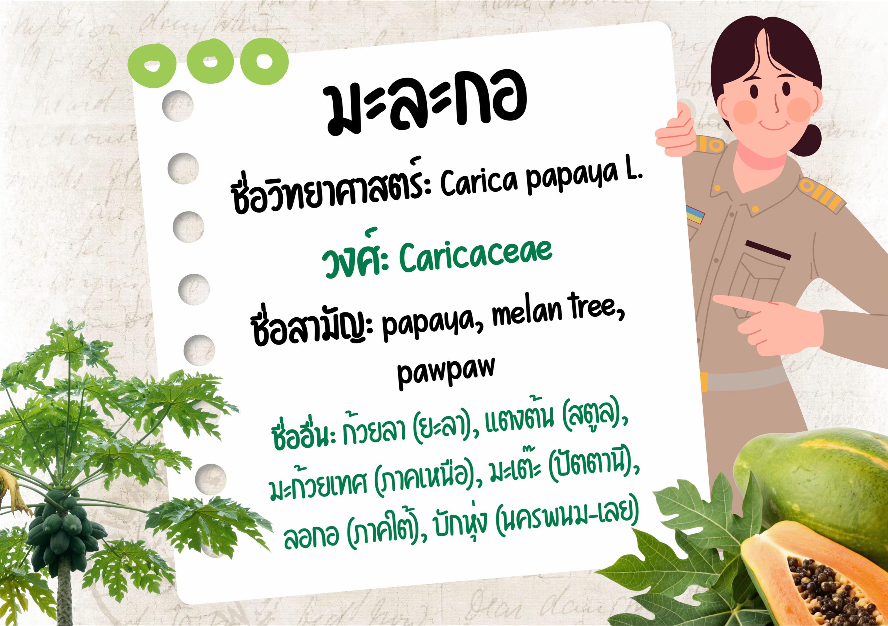 @โรงเรียนบ้านแปรง