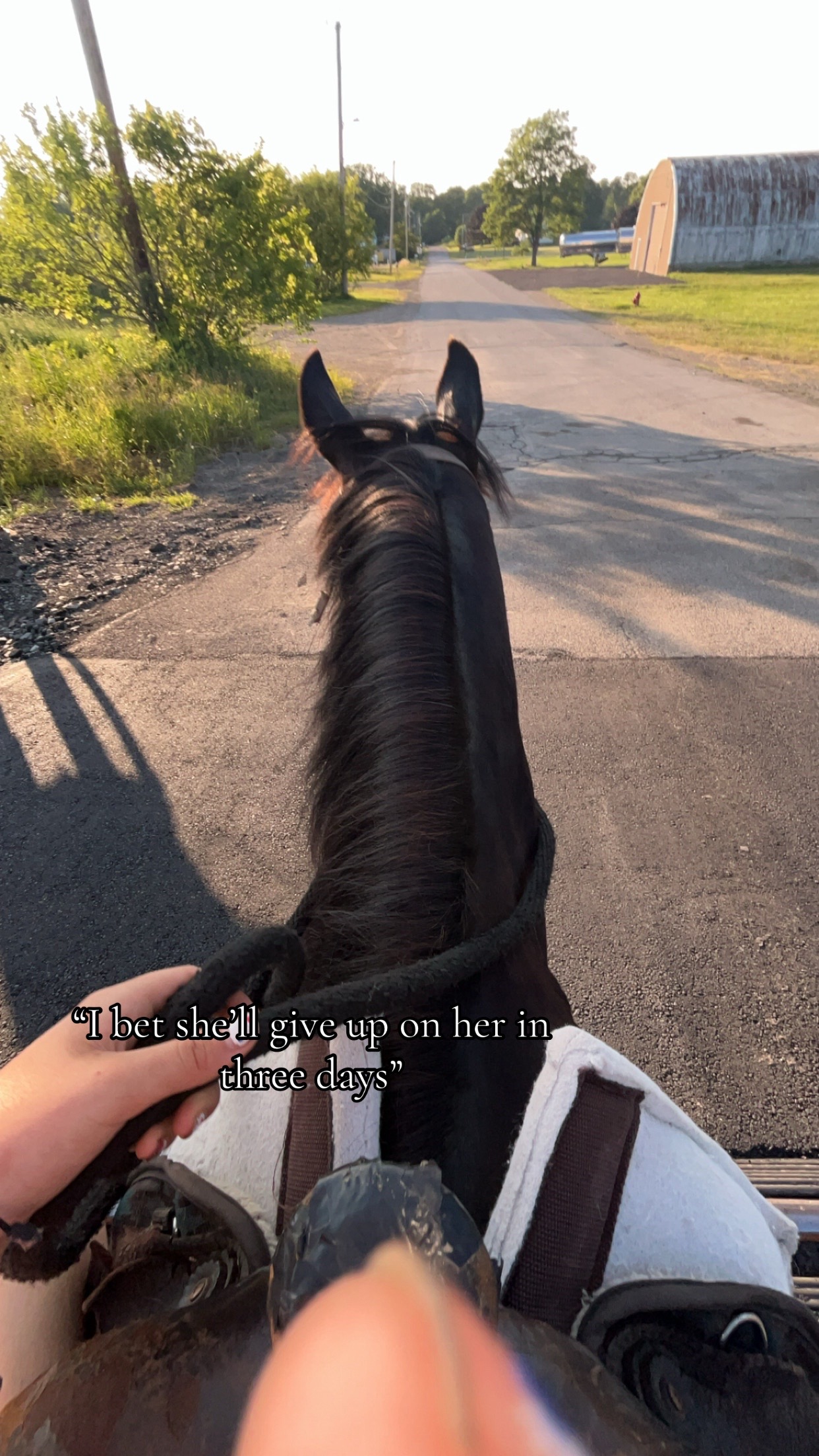 @Rikki🐎🐀
