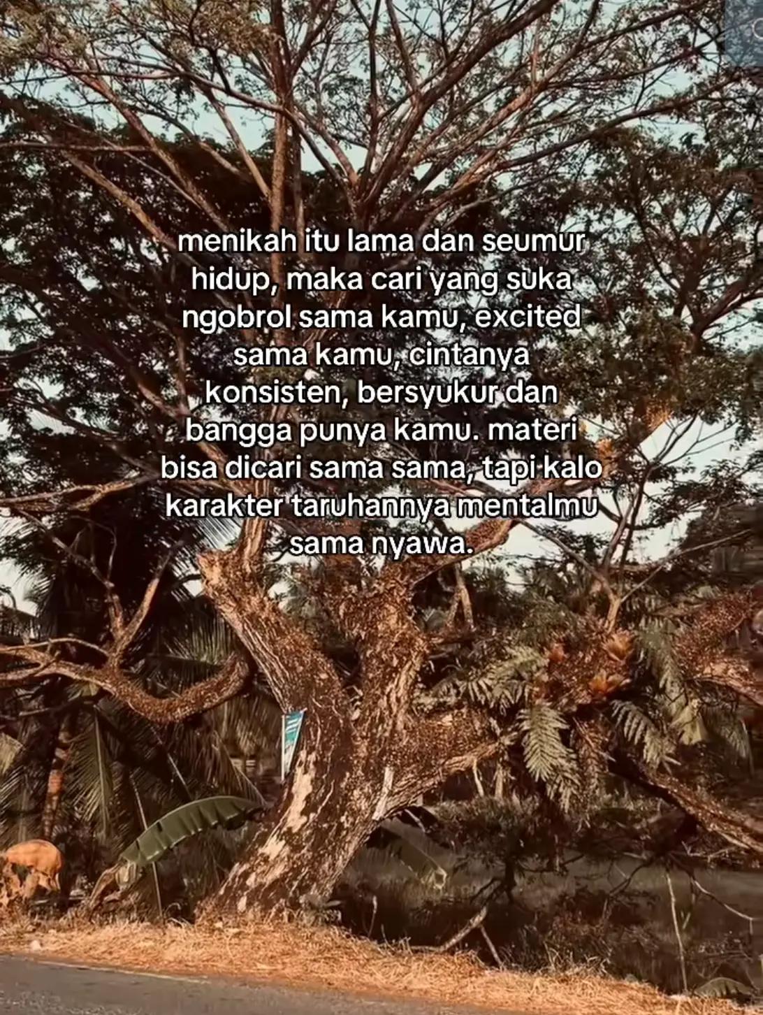 @الحمد لله🔑 𝖕𝖊𝖓𝖆𝖓𝖙𝖎𝖆𝖓