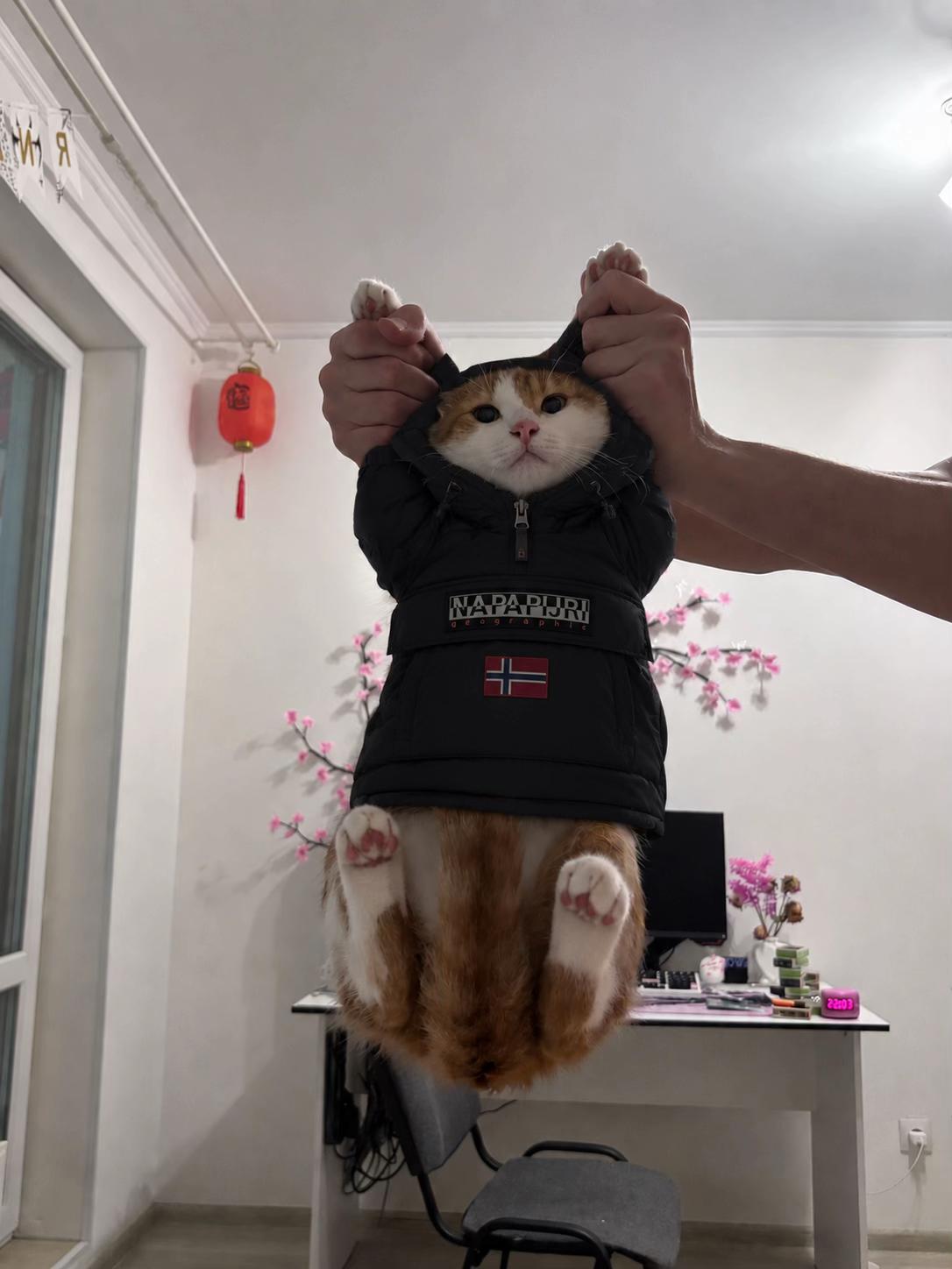 @эваэмо