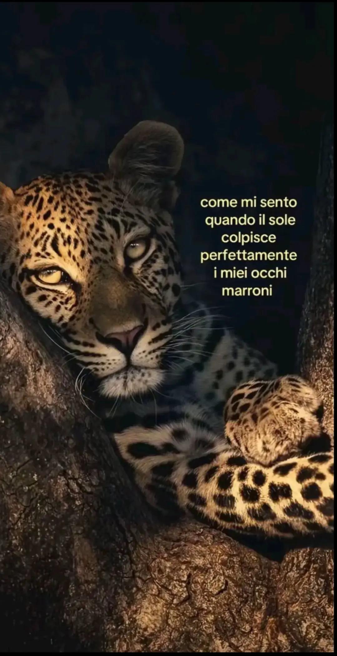 @🥀