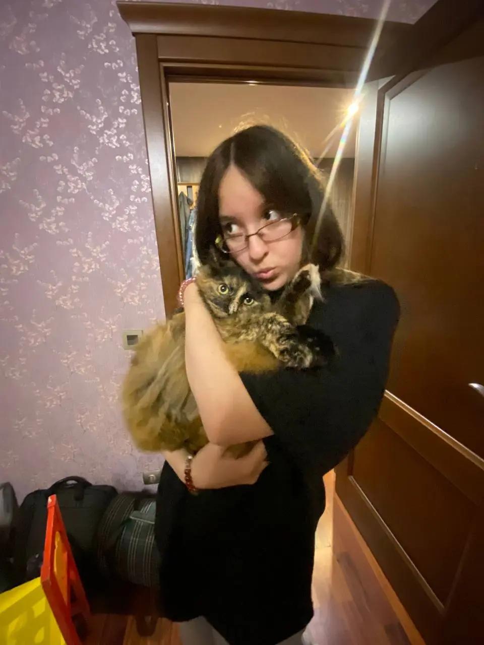 @кица
