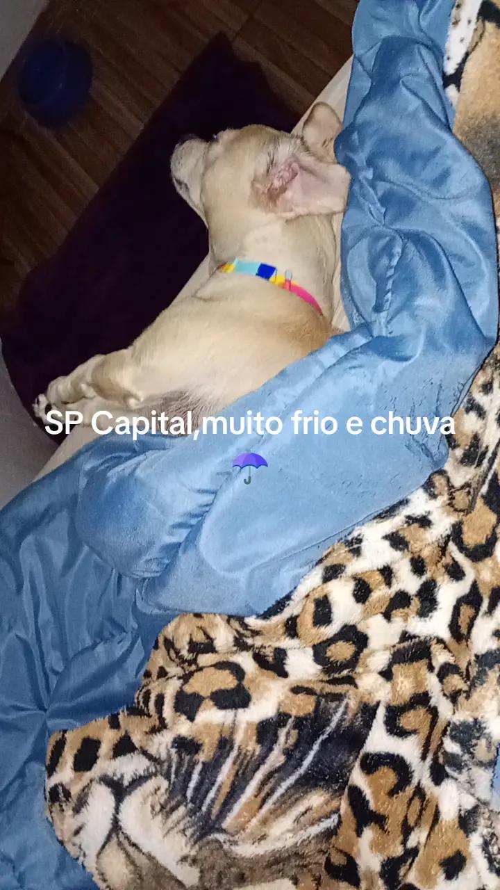 @Iara Brito Brito