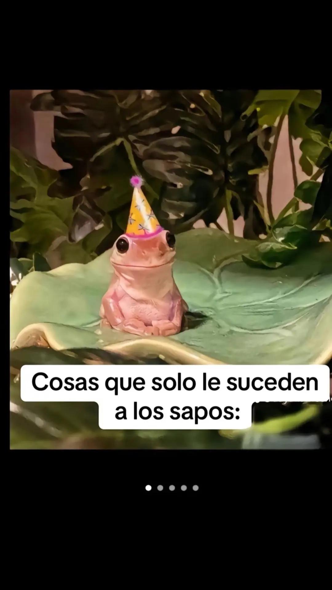 @Jordan Vargas